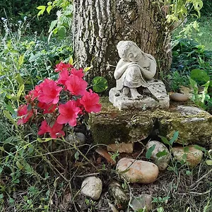 Le Clos De La Salamandre Guest house Duravel